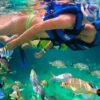Tour 5 islas - Imagen 2